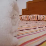Piscis Apartment *